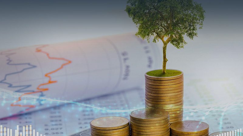 组织架构设计：解码高效管理的密码**